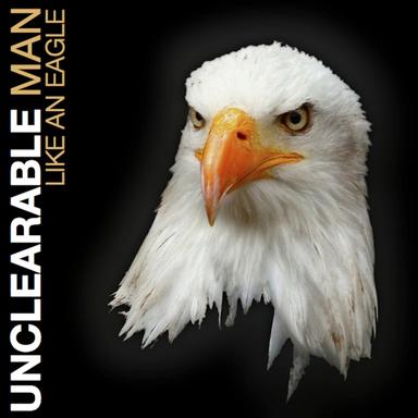 Like an Eagle - Radio Edit