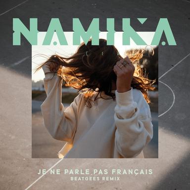 Je ne parle pas francais