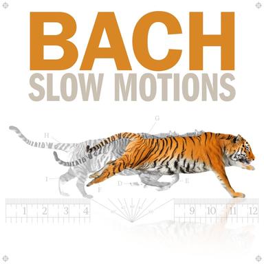 Partita in C Minor, BWV 826: II. Allemande