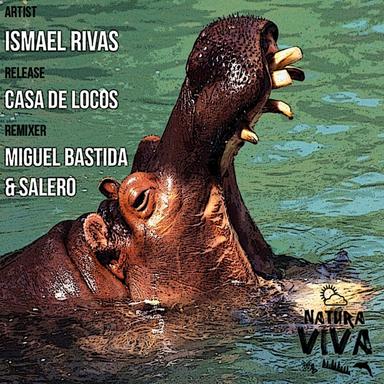 Casa de Locos - Miguel Bastida & Salero Remix