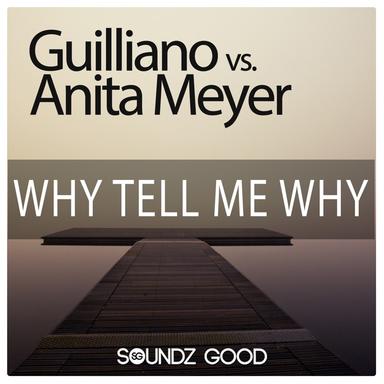 Why Tell Me Why - Re-Fuge Radio Edit