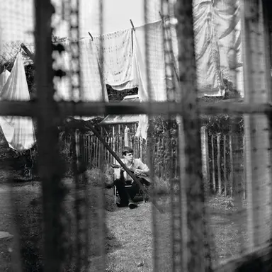 Chaos And Creation In The Backyard