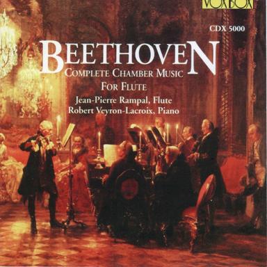 Flute Sonata in B-Flat Major, Anh. 4: IV. Allegretto molto convanazione