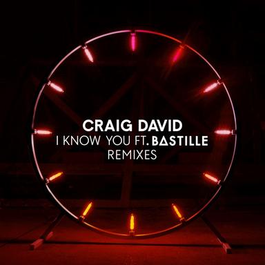 I Know You (feat. Bastille) - Sultan + Shepard Remix