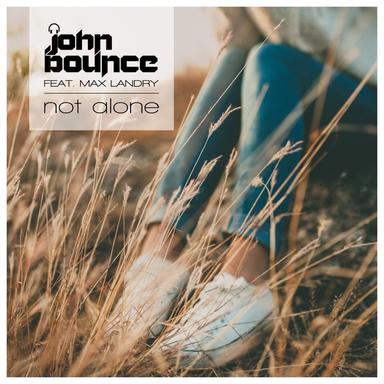 Not Alone - Frank Degrees Remix