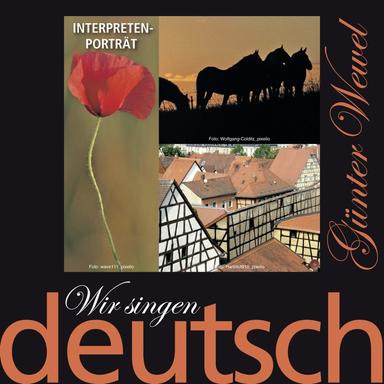 Der alte Mann am Meer (The House Of the Rising Sun)