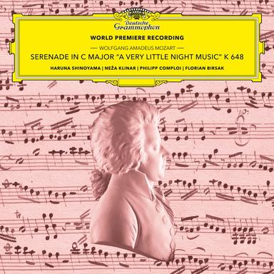 Serenade in C Major, K. 648 "A Very Little Night Music" (Version for 2 Violins, Cello & Harpsichord): IV. Polonoise "Boloneso"