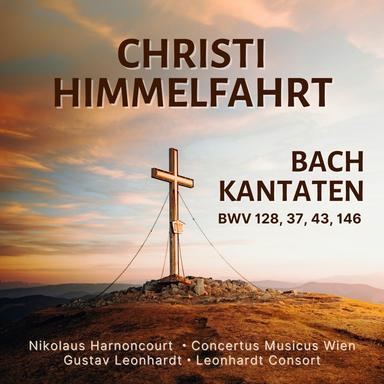 Gott fähret auf mit Jauchzen, BWV 43: VI. Recitative. Es kommt der Helden Held (Bass)