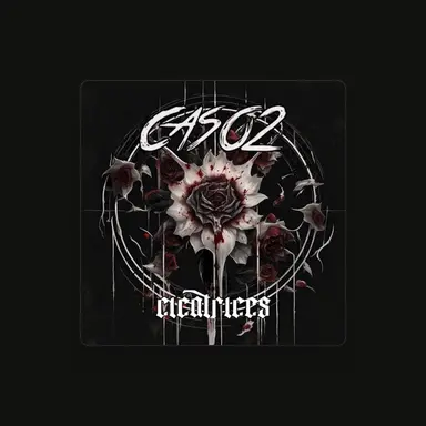 C2