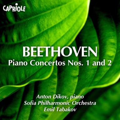 Piano Concerto No. 2 in B-Flat Major, Op. 19: II. Adagio