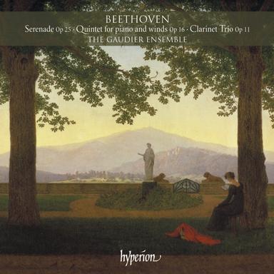 Serenade for Flute, Violin & Viola in D Major, Op. 25: III. Allegro molto