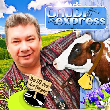 Der DJ aus den Bergen (Radio Edit)