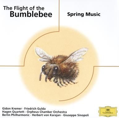 Concerto for Flute and Strings in D, Op. 10, No. 3, R. 428 "Il gar dellino": I. Allegro