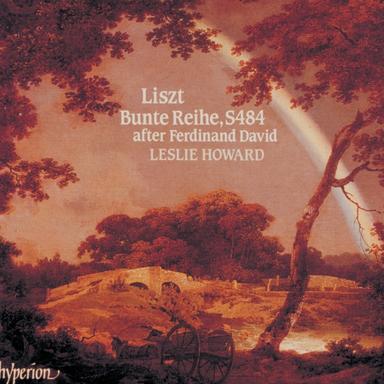 Bunte Reihe, S. 484: No. 14 in F-Sharp Minor. Allegro agitato