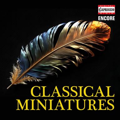String Quintet in E Major, Op. 11 No. 5, G. 275: III. Minuetto (Arr. for String Orchestra by Anonymous)