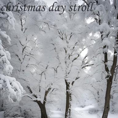 Christmas Day Stroll
