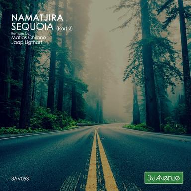 Sequoia - Matias Chilano Remix