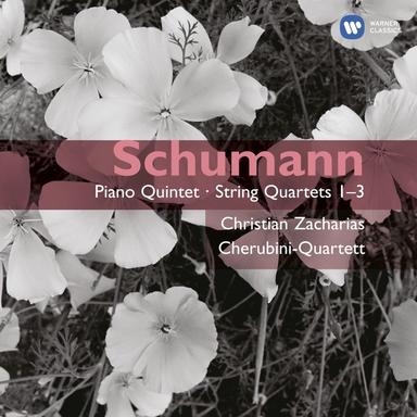 Piano Quintet in E-Flat Major, Op. 44: II. In modo d'una marcia