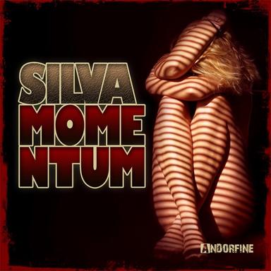 Momentum - Radio Edit