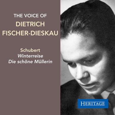 Winterreise, D. 911: IX. Irrlicht