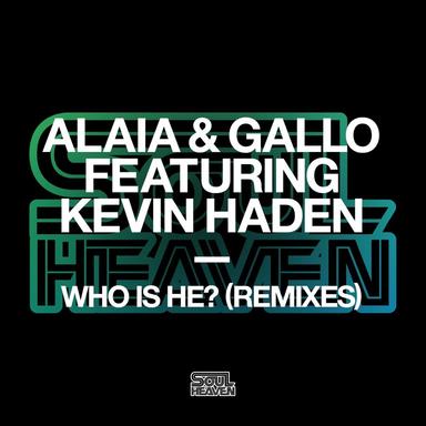 Who Is He? (feat. Kevin Haden) - Dario D'Attis Remix