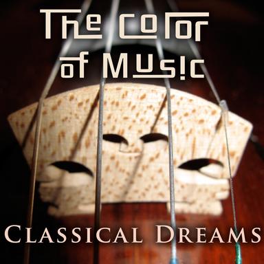 Suite No. 3 in D Major, BWV 1068 : II. Air