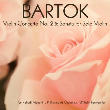 Violin Concerto No. 2, Sz. 112: I. Allegro non troppo