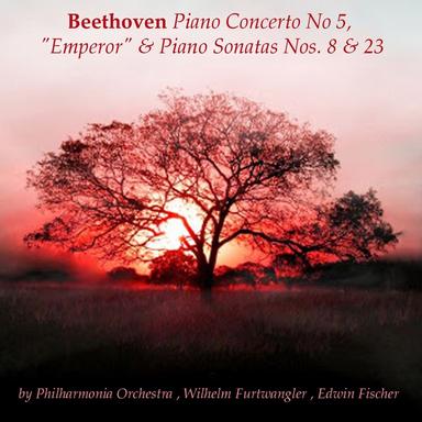 Piano Sonata No. 23 in F Minor, Op. 57 "Appassionata": I. Allegro assai - Più allegro