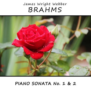Piano Sonata No. 1, Op. 1: IV. Finale. Allegro con fuoco