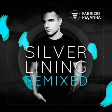 Plastic Fantastic - Robert Babicz Remix