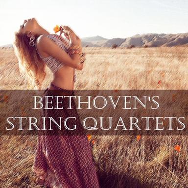 String Quartet No. 13 in B-Flat Major, Op. 130: IV. Alla danza tedesca. Allegro assai