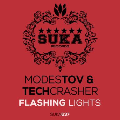 Flashing Lights - Stereosoulz Remix