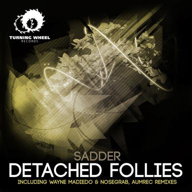 Detached Follies - Wayne Madiedo & Nosegrab Remix