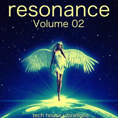 Roasted Dub - Bassline & House Mix