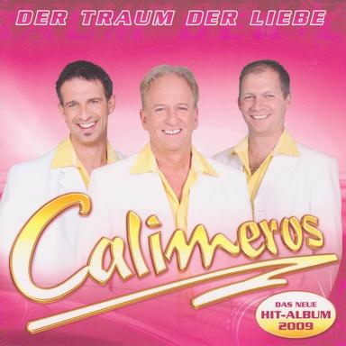 Warum hab ich dich verloren