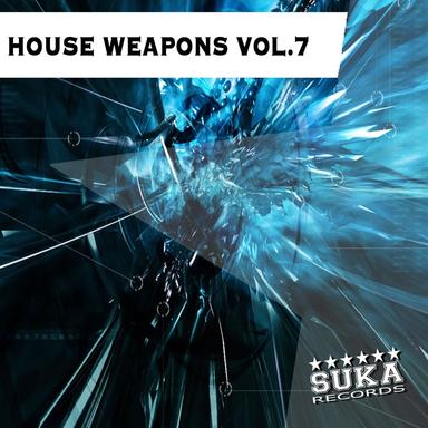 House Weapons, Vol. 7