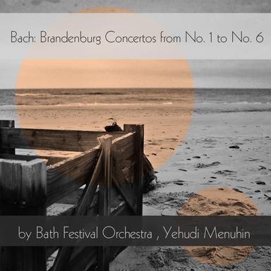 Brandenburg Concerto No. 6 in B-Flat Major, BWV 1051: II. Adagio ma non tanto