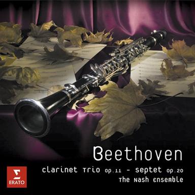 Septet in E-Flat Major, Op. 20: II. Adagio cantabile