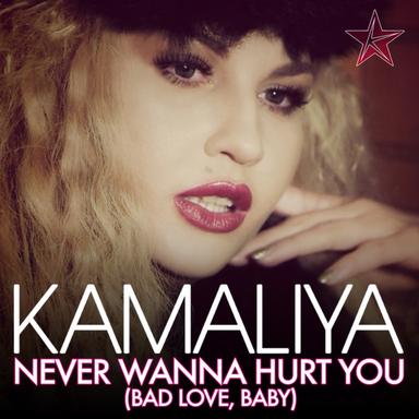 Never Wanna Hurt You (Bad Love, Baby) - Fedde Le Grand Radio Edit
