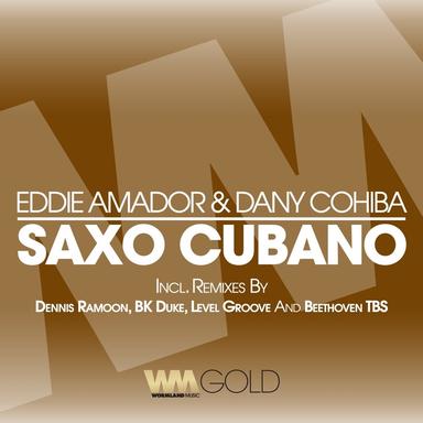 Saxo Cubano - Level Groove Remix