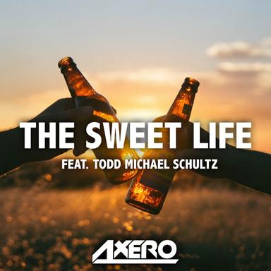 The Sweet Life (feat. T. M. Schultz) - Single