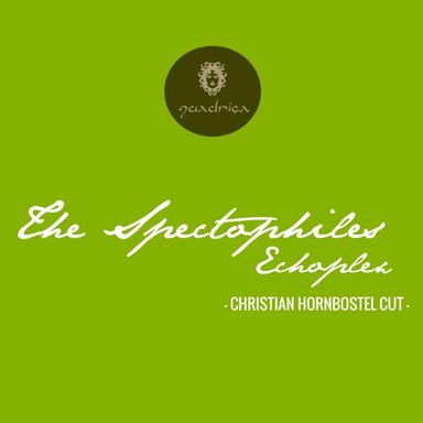 Echoplex - Christian Hornbostel Cut