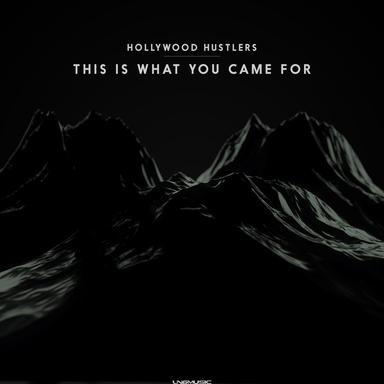 This is What You Came For - Radio Edit