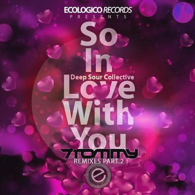 So In Love With You - T. Tommy Remix, Pt. 2