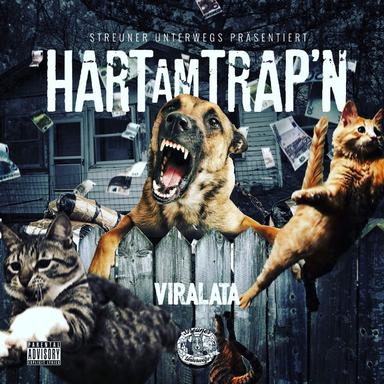 Hart am Trap'n
