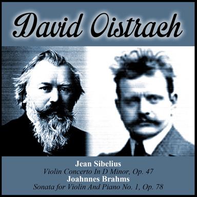Violin Concerto In D Minor, Op. 47: I. Allegro Moderato