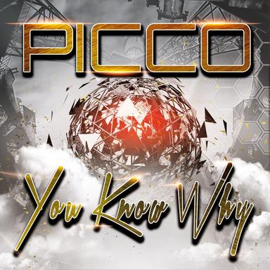 You Know Why (Edit)