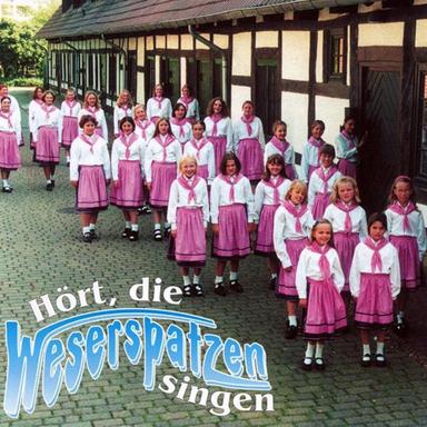 Oberweserdampfschiffahrtsgesellschaftskapitän