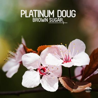 Brown Sugar - Croatia Squad Remix