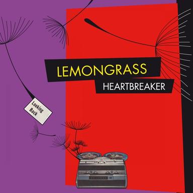 Heartbreaker - Capa Remix